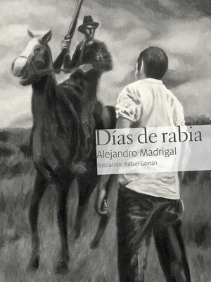 cover image of Días de rabia